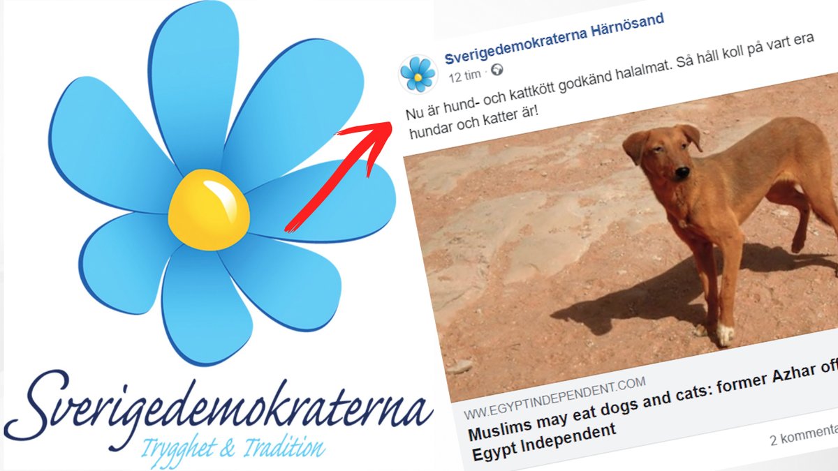 Sverigedemokraterna-Härnösands-Facebooksida-sprider-rasism